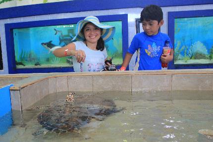 Turtle Farm on Isla Mujeres