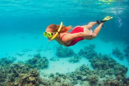 Tour de Snorkel